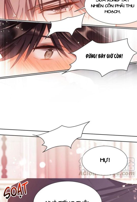 Ảnh Đế X Ảnh Đế Chap 185 - Next Chap 186