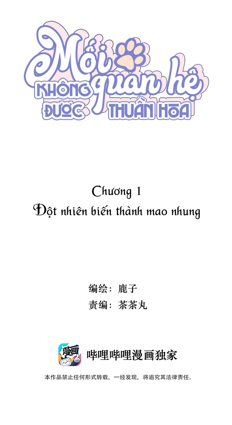 Mối quan hệ không được thuần hóa Chapter 1 - Next Chapter 2