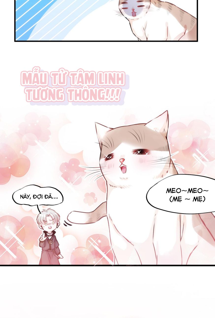 Mối quan hệ không được thuần hóa Chapter 2 - Next Chapter 3