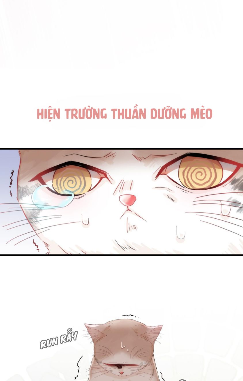 Mối quan hệ không được thuần hóa Chapter 3 - Next Chapter 4