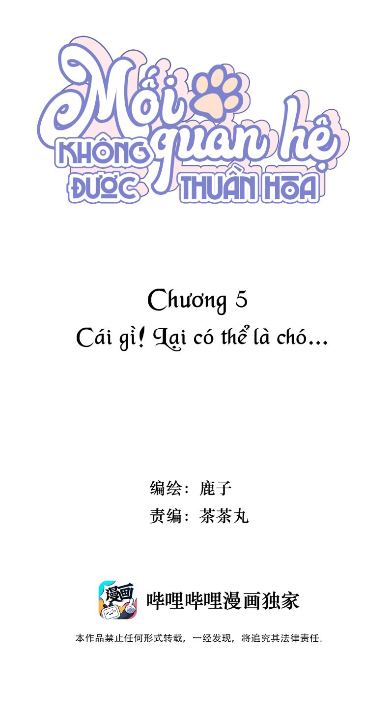 Mối quan hệ không được thuần hóa Chapter 5 - Next Chapter 6