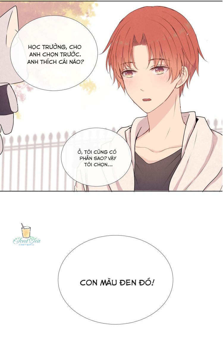 Vết rượu ngọt ngào Chapter 10 - Next Chapter 11