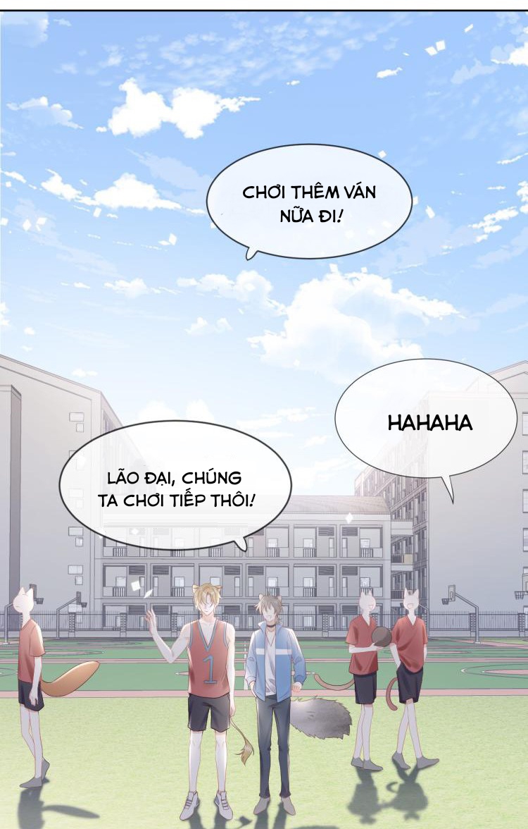 Một Ngụm Ăn Cả Thỏ Con Chapter 3 - Next Chapter 4