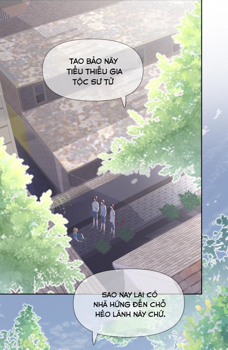 Một Ngụm Ăn Cả Thỏ Con Chapter 3 - Next Chapter 4