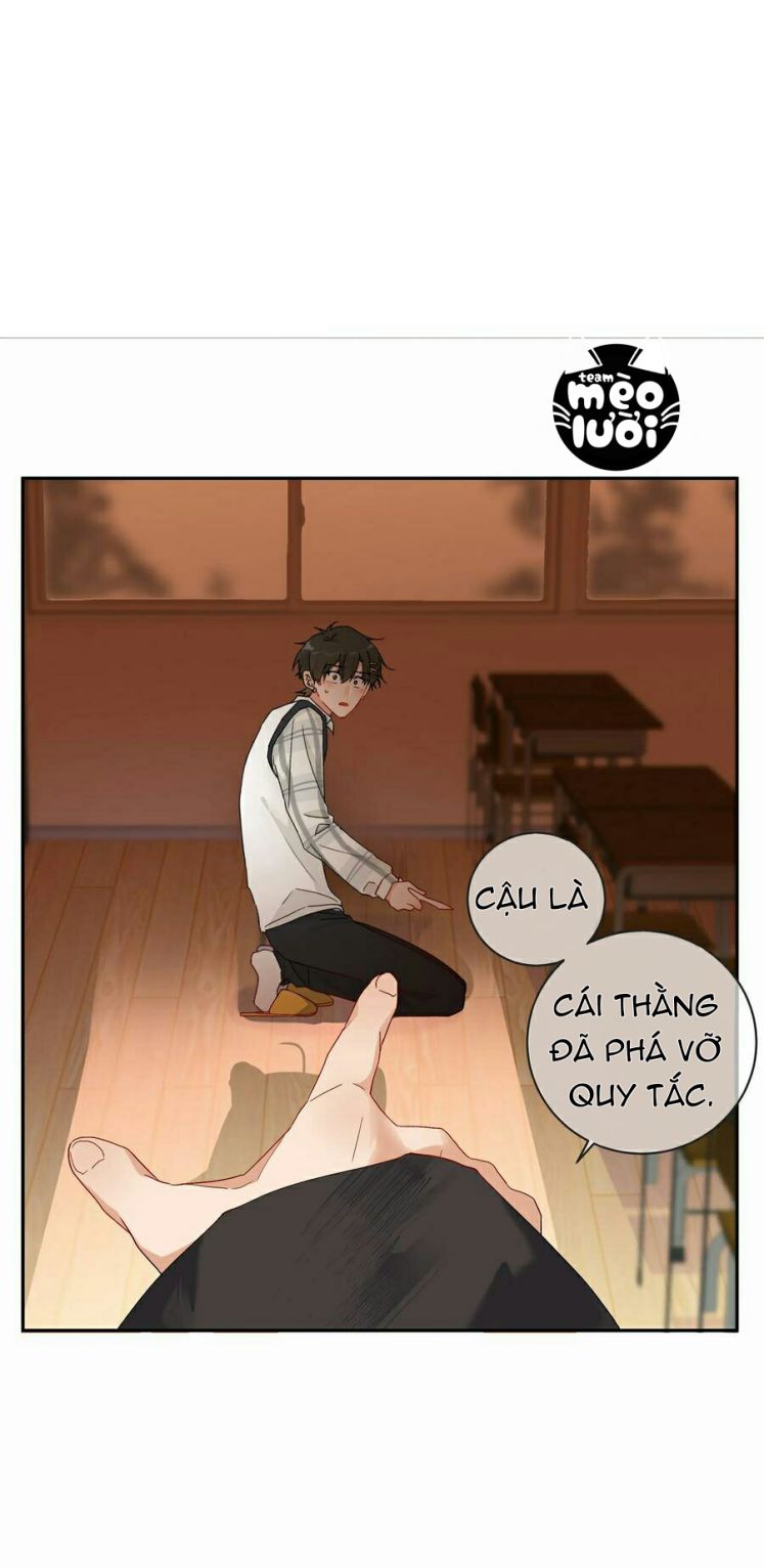 Muốn Nghe Cậu Nói Thích Tớ Chapter 38 - Next Chapter 39