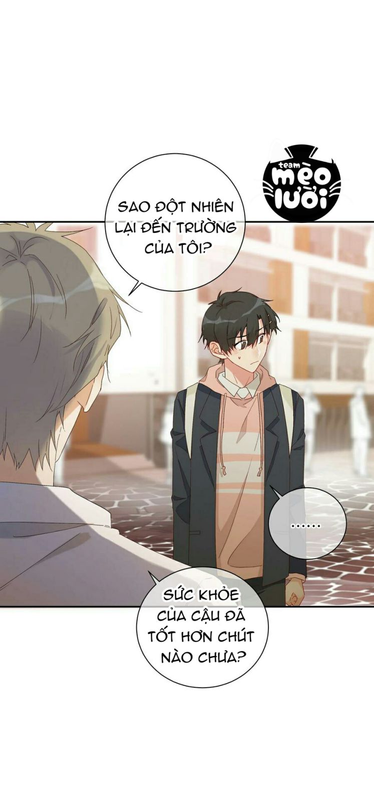 Muốn Nghe Cậu Nói Thích Tớ Chapter 41 - Next Chapter 42