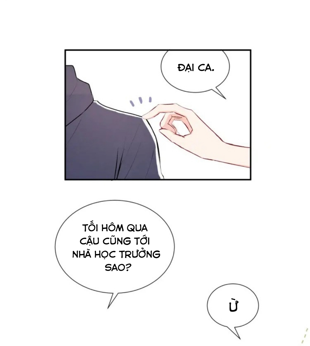 Vết rượu ngọt ngào Chapter 15 - Next Chapter 16