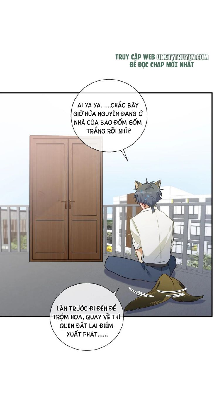 Muốn Nghe Cậu Nói Thích Tớ Chapter 50.5 - Next Chapter 51