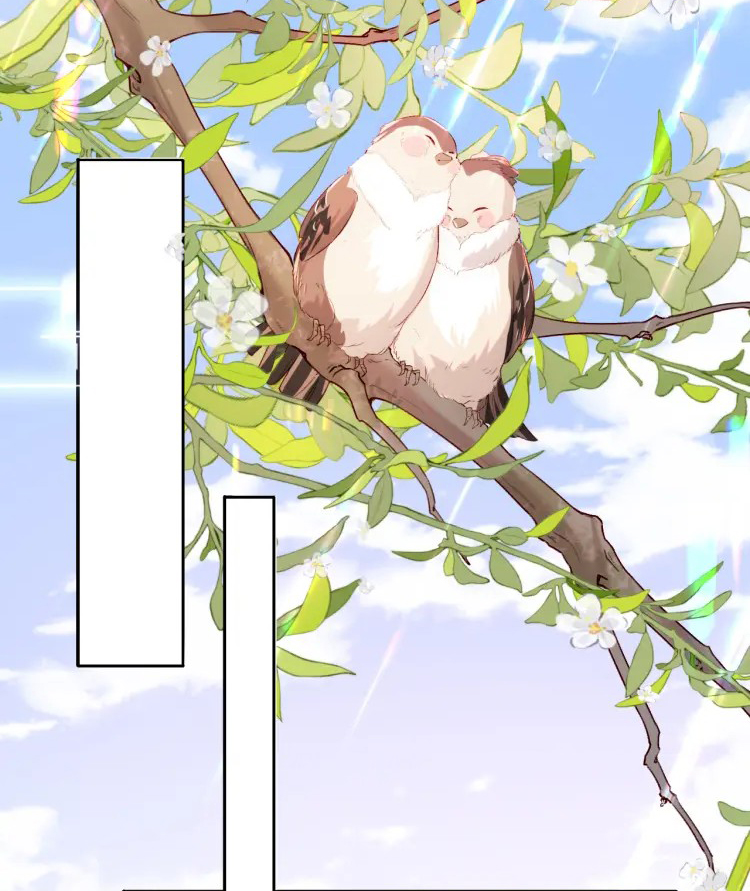 Các nguyên soái đồng loạt đòi ly hôn Chapter 2 - Next Chapter 3