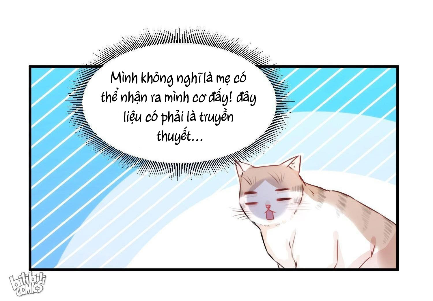 Shh! Tôi Không Phải Vật Cưng Của Cậu! Chap 2 - Next Chap 3