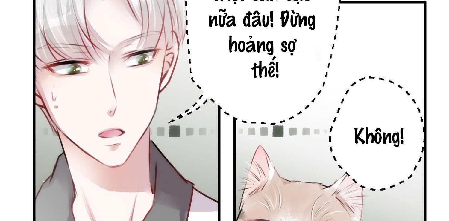 Shh! Tôi Không Phải Vật Cưng Của Cậu! Chap 4 - Next Chap 5