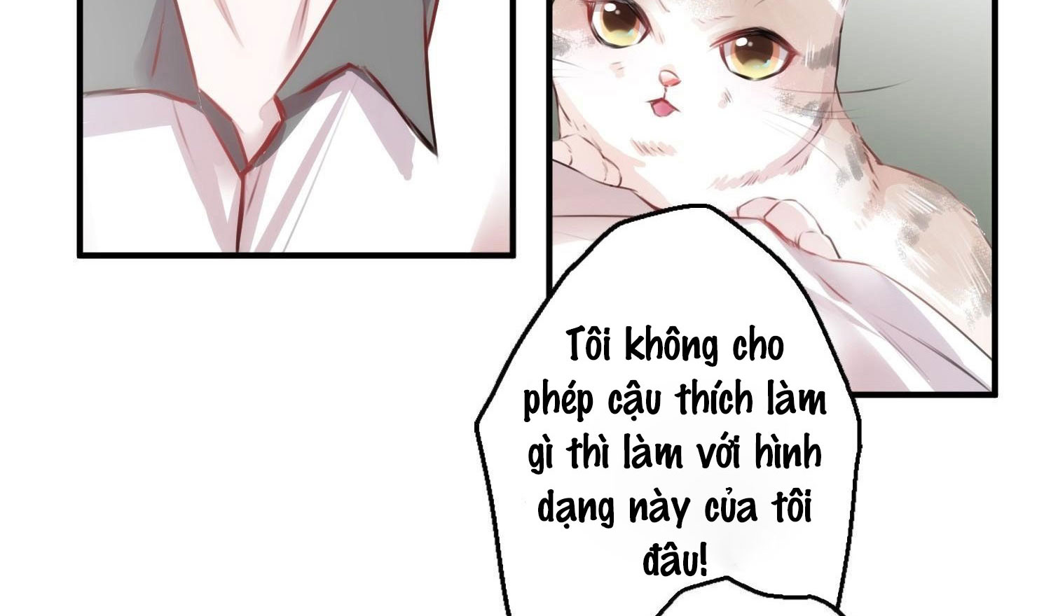 Shh! Tôi Không Phải Vật Cưng Của Cậu! Chap 4 - Next Chap 5