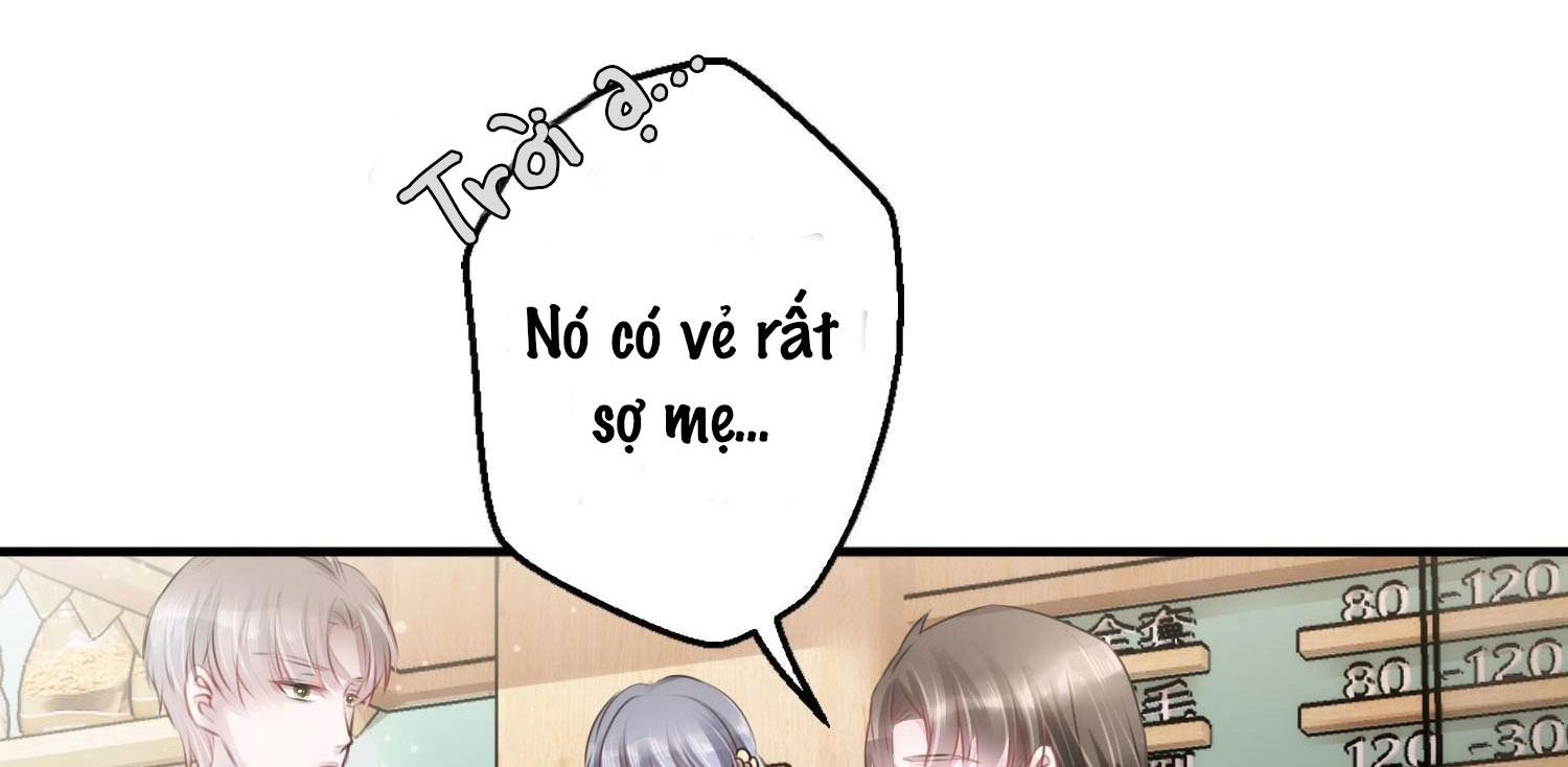 Shh! Tôi Không Phải Vật Cưng Của Cậu! Chap 4 - Next Chap 5