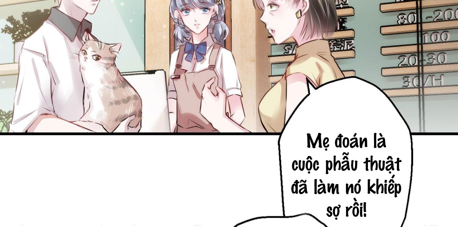 Shh! Tôi Không Phải Vật Cưng Của Cậu! Chap 4 - Next Chap 5