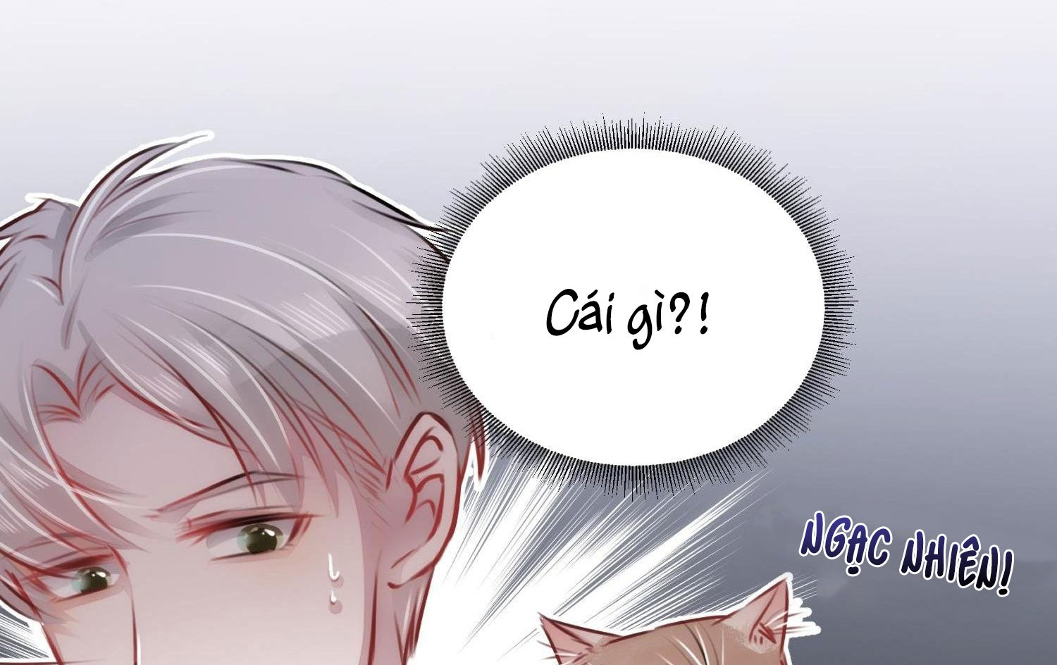 Shh! Tôi Không Phải Vật Cưng Của Cậu! Chap 4 - Next Chap 5