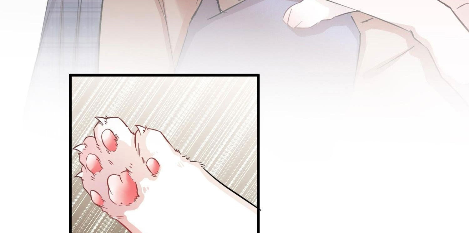 Shh! Tôi Không Phải Vật Cưng Của Cậu! Chap 5 - Next Chap 6