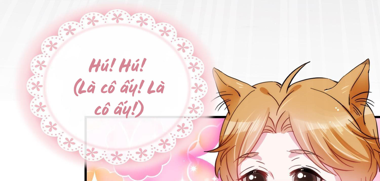 Shh! Tôi Không Phải Vật Cưng Của Cậu! Chap 7 - Next Chap 8