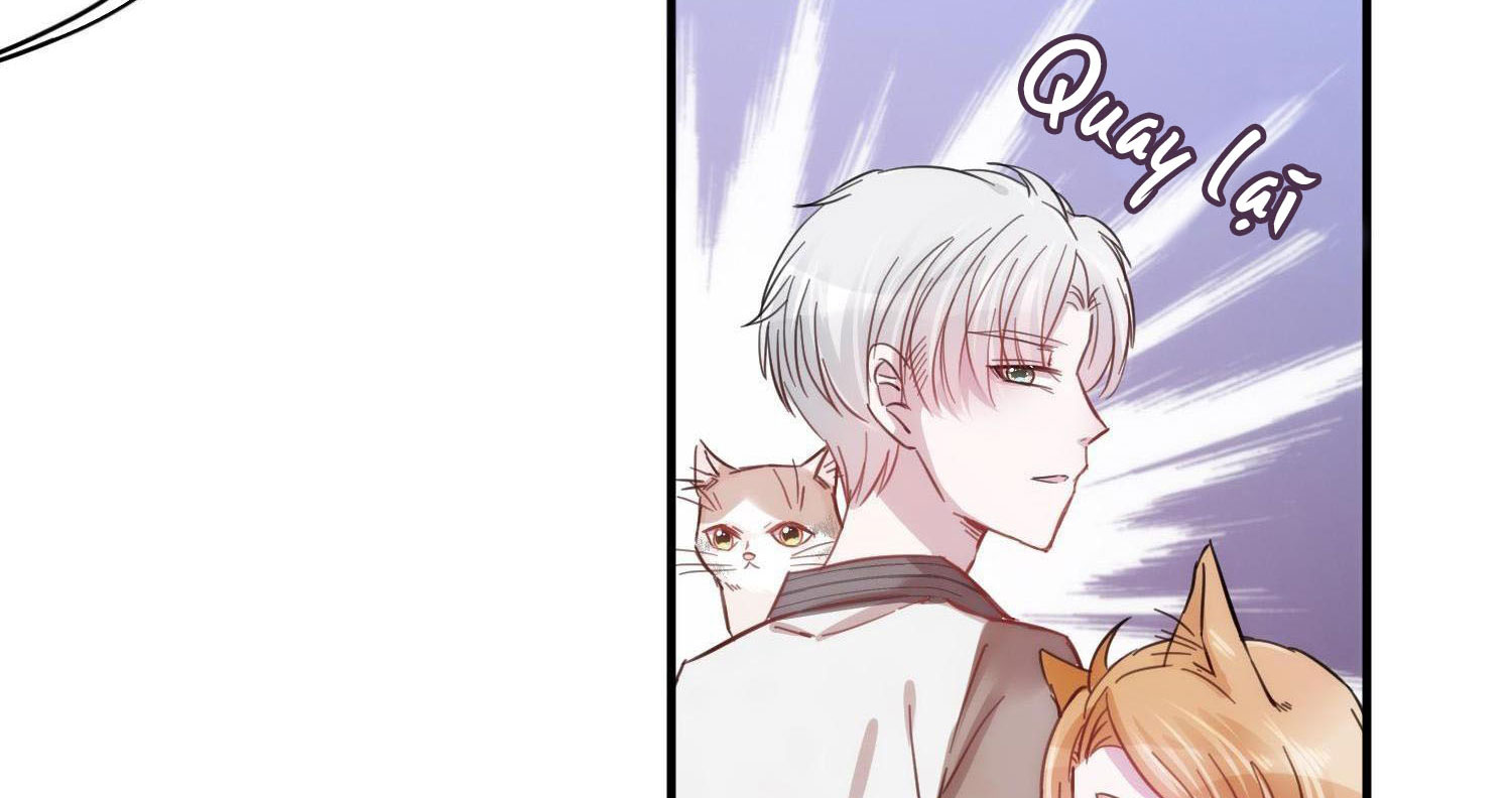 Shh! Tôi Không Phải Vật Cưng Của Cậu! Chap 7 - Next Chap 8