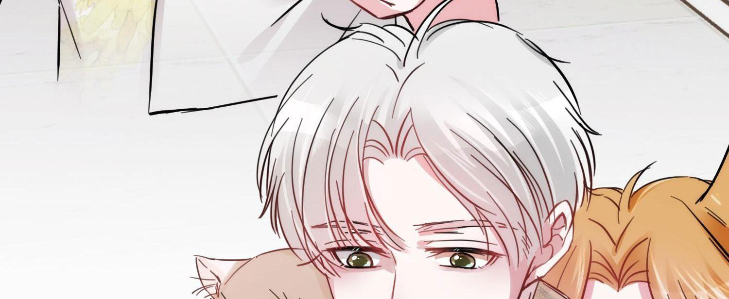 Shh! Tôi Không Phải Vật Cưng Của Cậu! Chap 7 - Next Chap 8