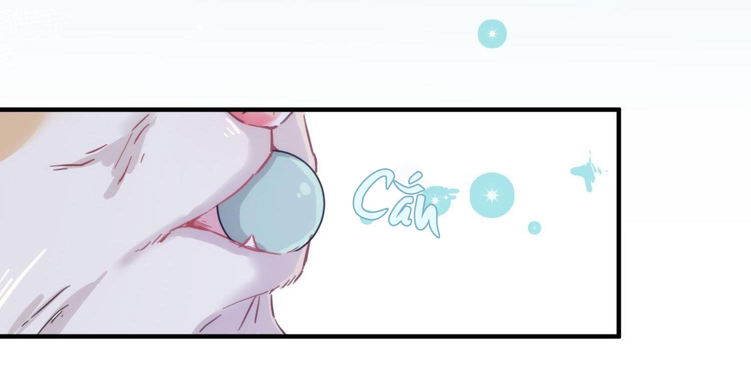 Shh! Tôi Không Phải Vật Cưng Của Cậu! Chap 8 - Next Chap 9