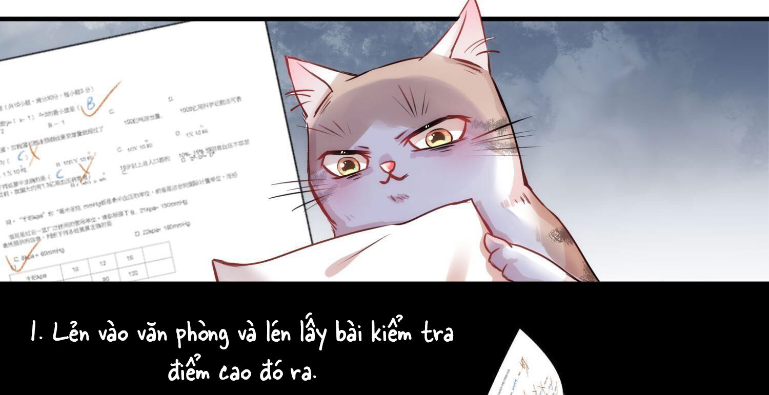 Shh! Tôi Không Phải Vật Cưng Của Cậu! Chap 9 - Next Chap 10