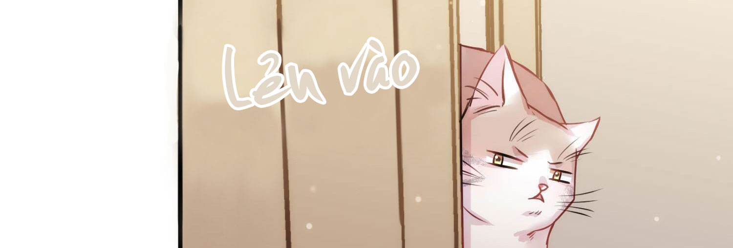 Shh! Tôi Không Phải Vật Cưng Của Cậu! Chap 9 - Next Chap 10