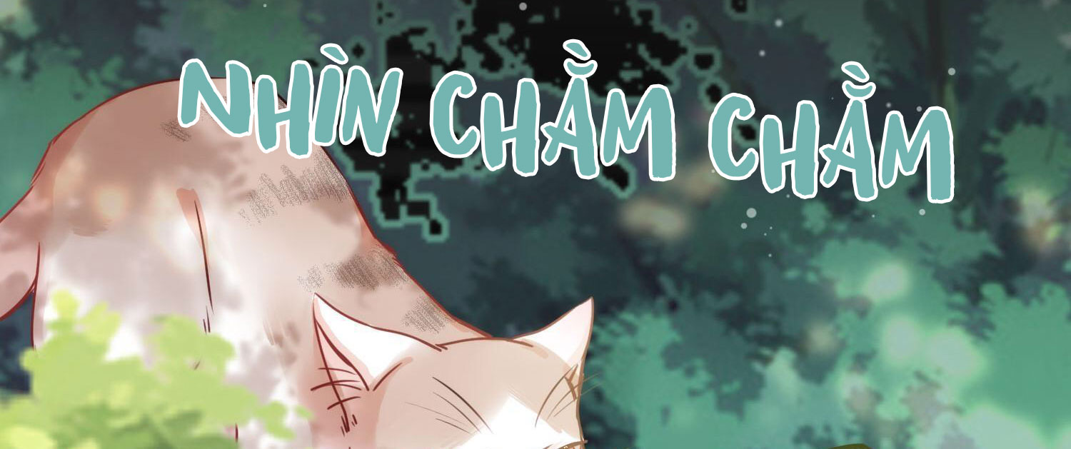 Shh! Tôi Không Phải Vật Cưng Của Cậu! Chap 9 - Next Chap 10