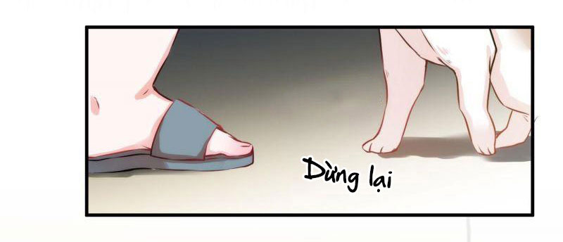 Shh! Tôi Không Phải Vật Cưng Của Cậu! Chap 11 - Next Chap 12