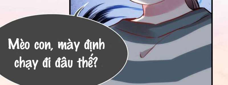 Shh! Tôi Không Phải Vật Cưng Của Cậu! Chap 11 - Next Chap 12