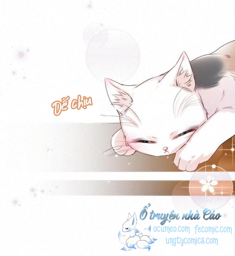 Shh! Tôi Không Phải Vật Cưng Của Cậu! Chap 14 - Next Chap 15