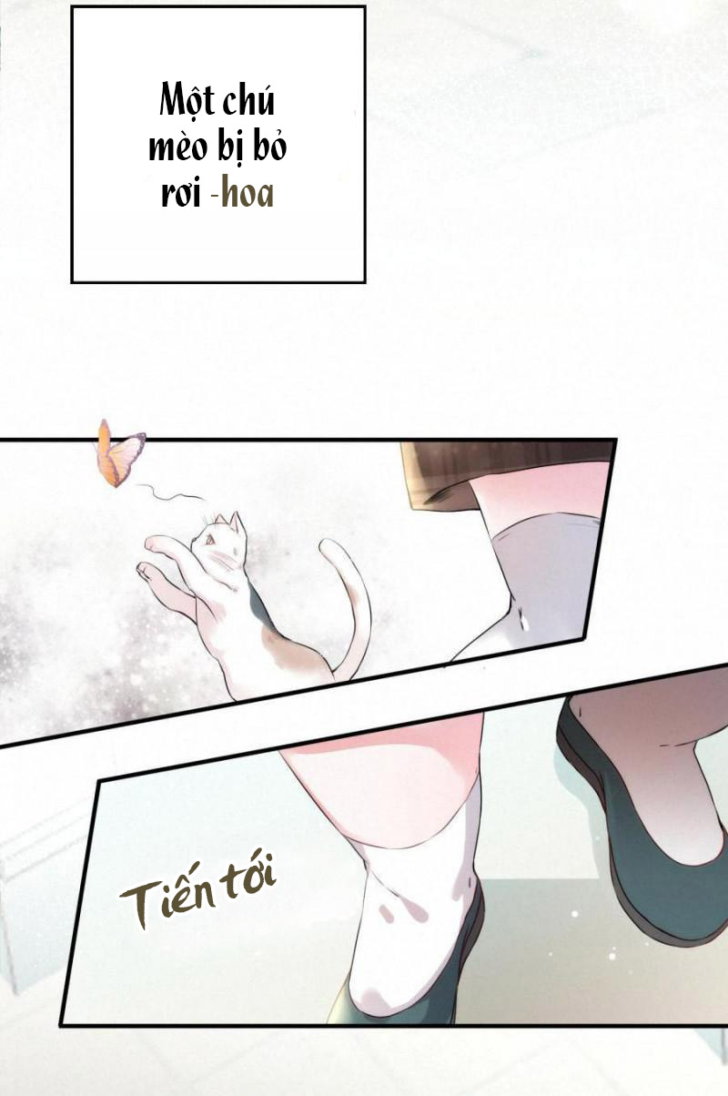 Shh! Tôi Không Phải Vật Cưng Của Cậu! Chap 14 - Next Chap 15