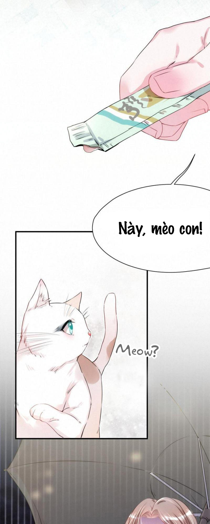 Shh! Tôi Không Phải Vật Cưng Của Cậu! Chap 14 - Next Chap 15