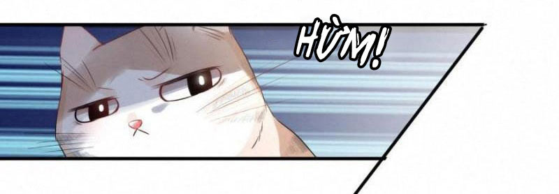 Shh! Tôi Không Phải Vật Cưng Của Cậu! Chap 16 - Next Chap 17