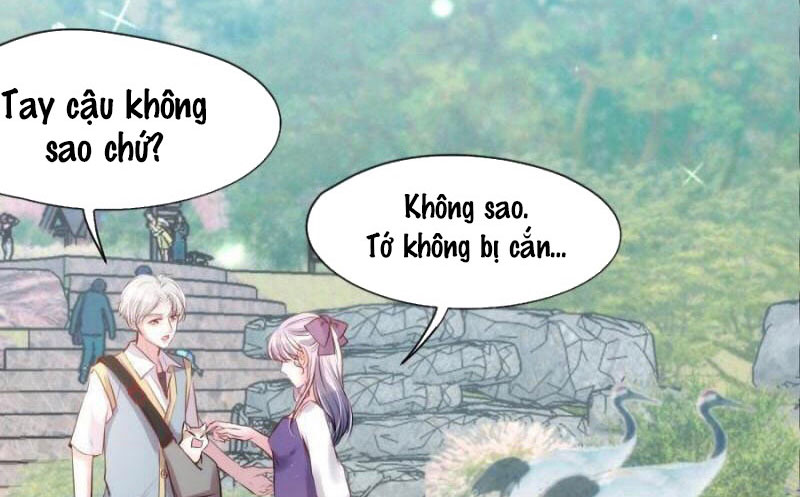 Shh! Tôi Không Phải Vật Cưng Của Cậu! Chap 17 - Next Chap 18