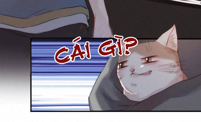 Shh! Tôi Không Phải Vật Cưng Của Cậu! Chap 17 - Next Chap 18