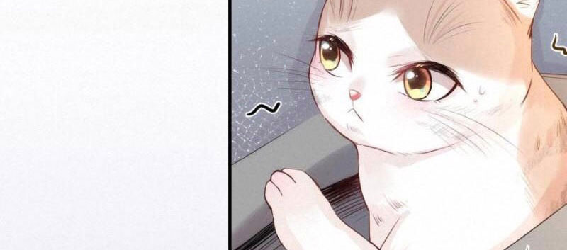 Shh! Tôi Không Phải Vật Cưng Của Cậu! Chap 17 - Next Chap 18