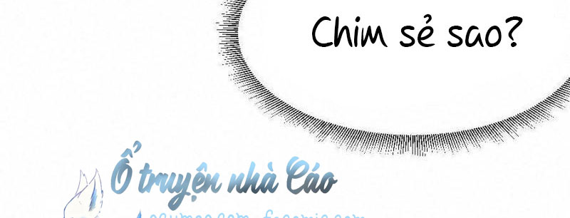 Shh! Tôi Không Phải Vật Cưng Của Cậu! Chap 18 - Next Chap 19