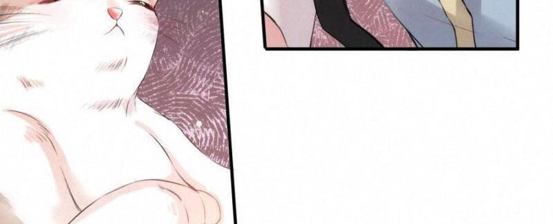 Shh! Tôi Không Phải Vật Cưng Của Cậu! Chap 18 - Next Chap 19