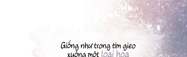 TRÒ CHƠI SĂN MỒI Chapter 2 - Next Chapter 25