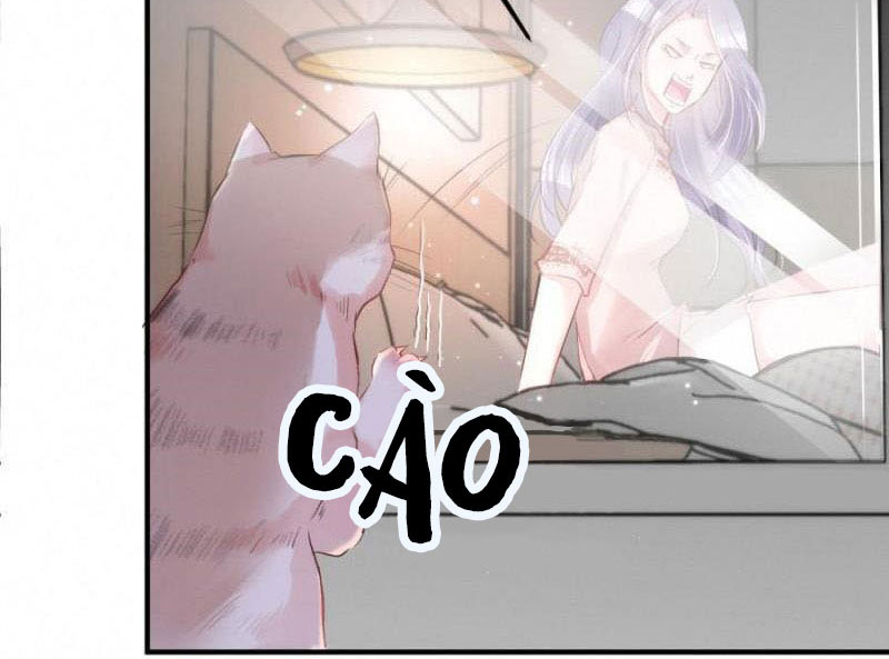 Shh! Tôi Không Phải Vật Cưng Của Cậu! Chap 20 - Next Chap 21