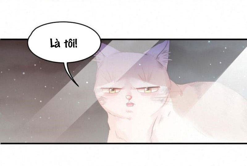 Shh! Tôi Không Phải Vật Cưng Của Cậu! Chap 20 - Next Chap 21