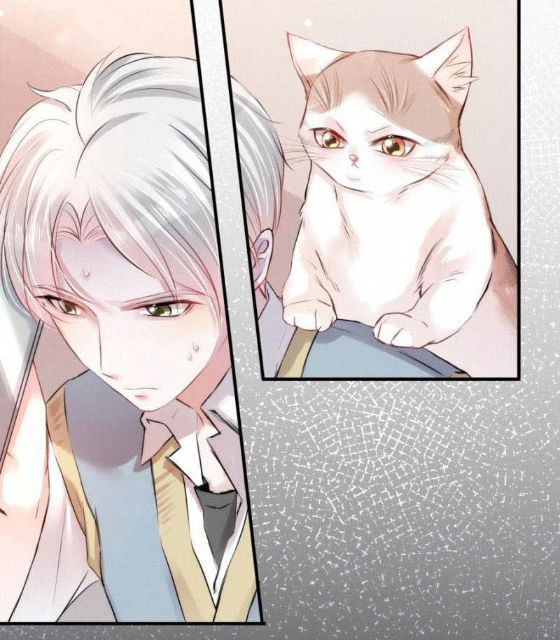 Shh! Tôi Không Phải Vật Cưng Của Cậu! Chap 20 - Next Chap 21