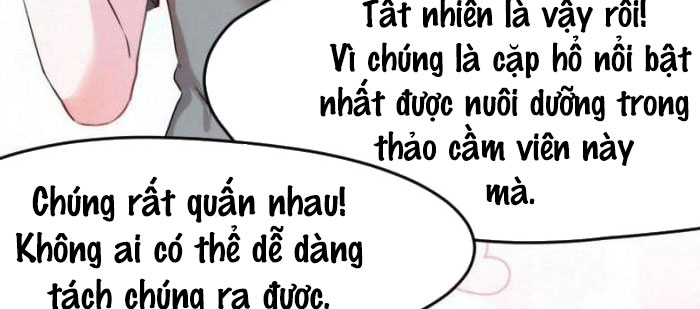 Shh! Tôi Không Phải Vật Cưng Của Cậu! Chap 22 - Next Chap 23