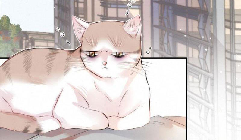 Shh! Tôi Không Phải Vật Cưng Của Cậu! Chap 23 - Next Chap 24