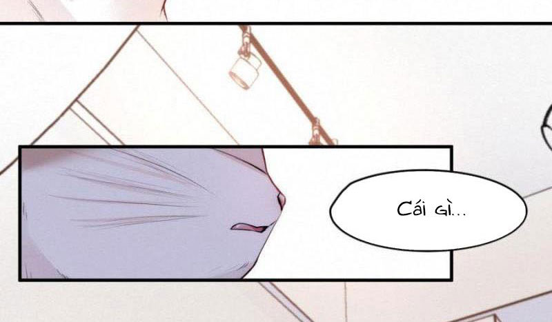 Shh! Tôi Không Phải Vật Cưng Của Cậu! Chap 23 - Next Chap 24