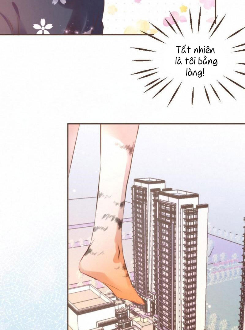 Shh! Tôi Không Phải Vật Cưng Của Cậu! Chap 32 - Next 