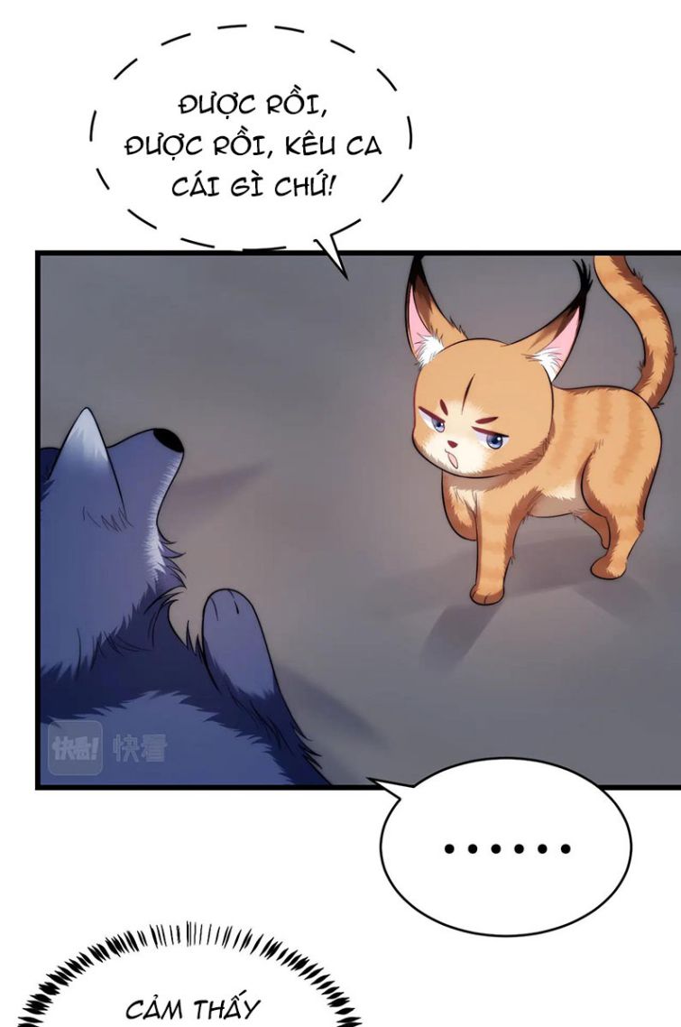 Tiểu Dã Miêu Của Học Bá Thật Trêu Người Chapter 19 - Next Chapter 20