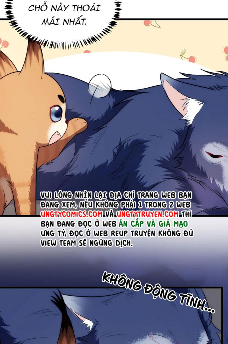 Tiểu Dã Miêu Của Học Bá Thật Trêu Người Chapter 19 - Next Chapter 20