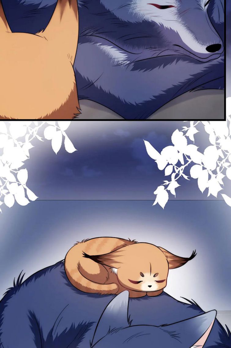 Tiểu Dã Miêu Của Học Bá Thật Trêu Người Chapter 19 - Next Chapter 20