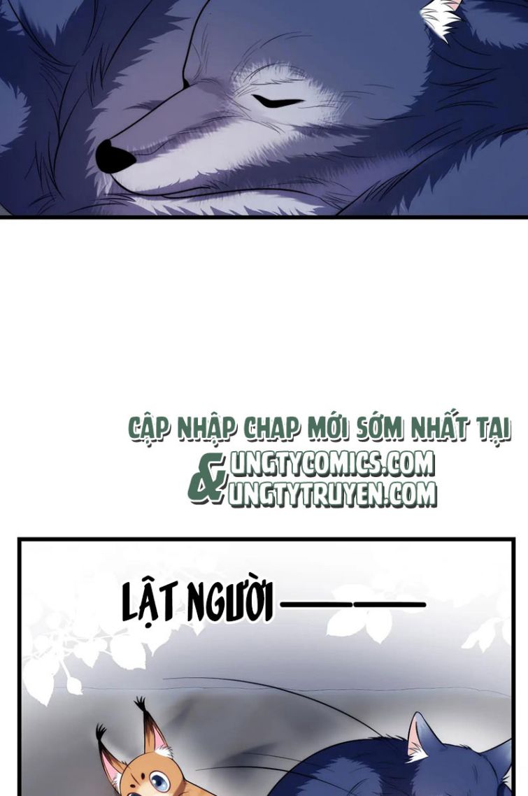 Tiểu Dã Miêu Của Học Bá Thật Trêu Người Chapter 19 - Next Chapter 20